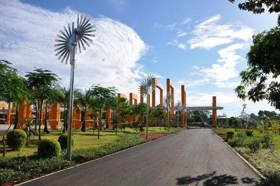 游泳世界冠军溺水身亡,倒数第一的奥运会冠军