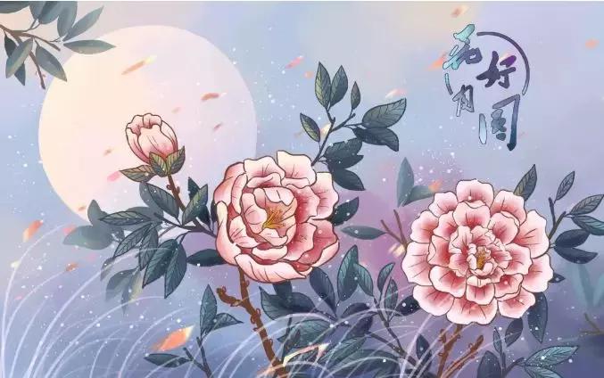 纵观中华上下5000年漫漫历史长河,读完中华上下5000年学到了什么