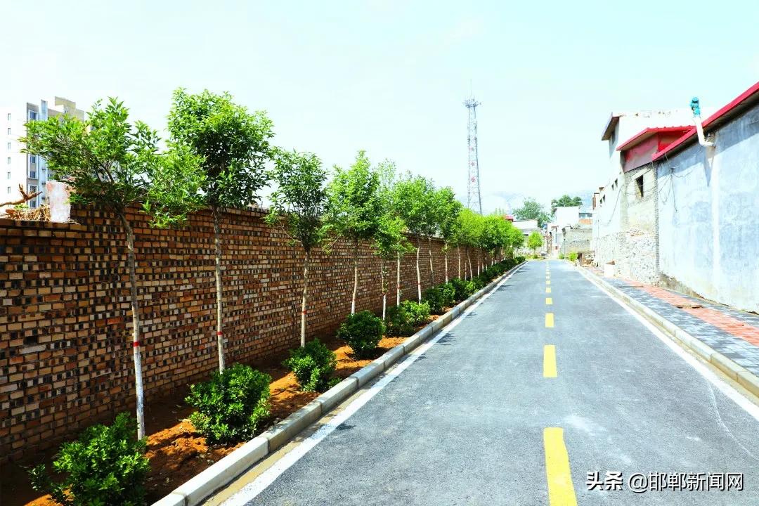 扎实推进“转提比作”活动，珍礼书记督导检查乡镇重点工作