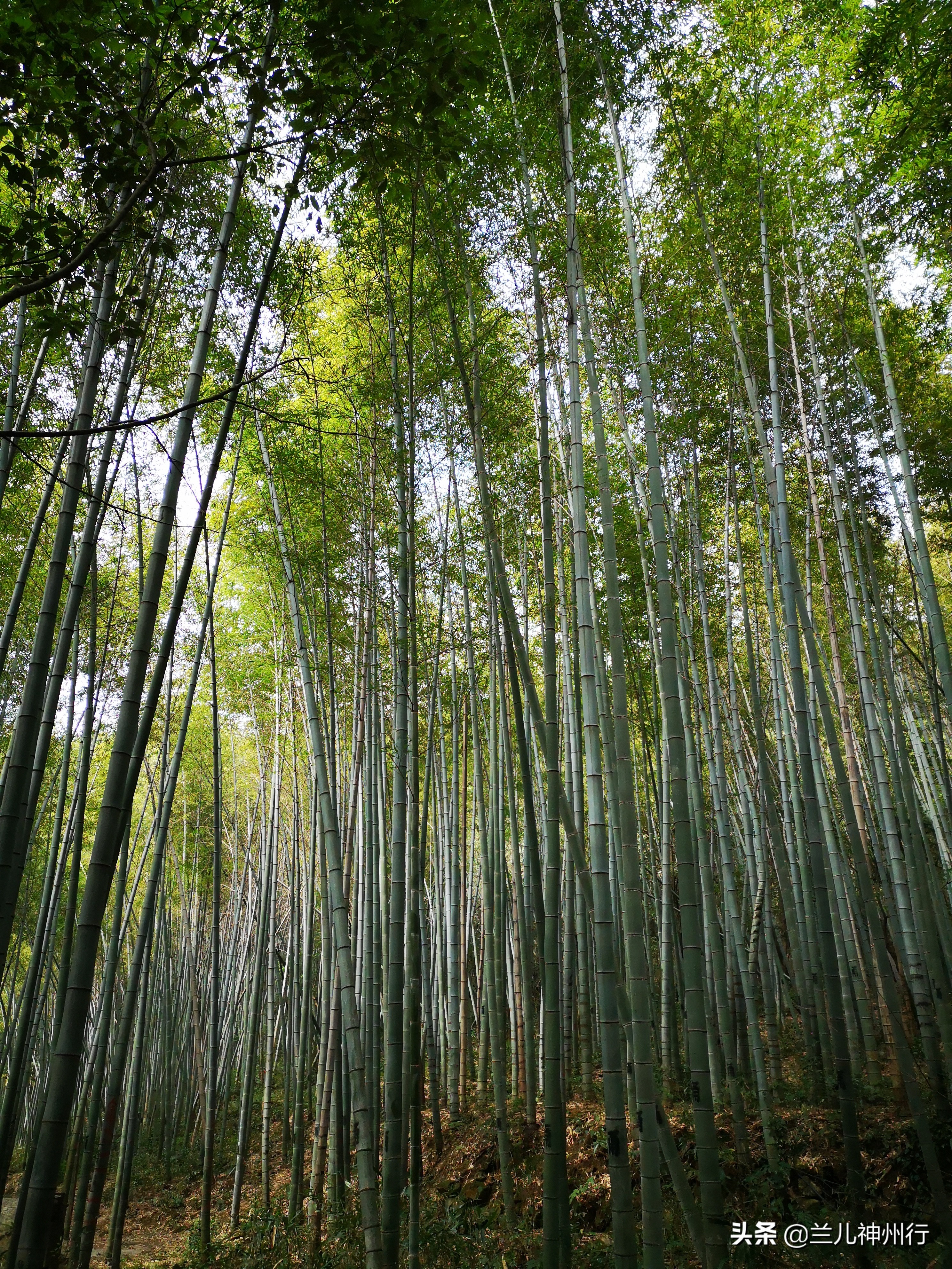 浙东小九寨周边有什么风景区吗,浙东小九寨自驾