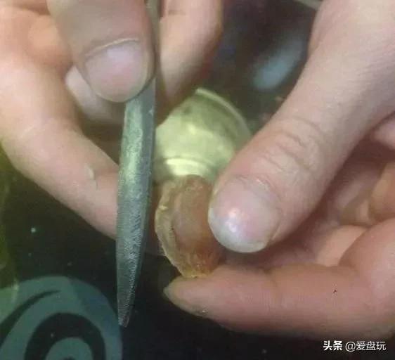 可以包浆的手串,什么手串可以随便盘玩还能包浆