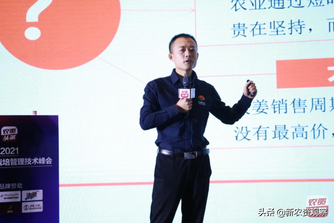 生姜栽培管理新技术,中国生姜栽培管理技术峰会