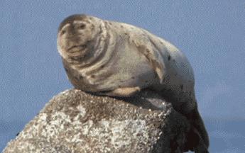 三里屯网红奶茶店在哪,三里屯热门奶茶店