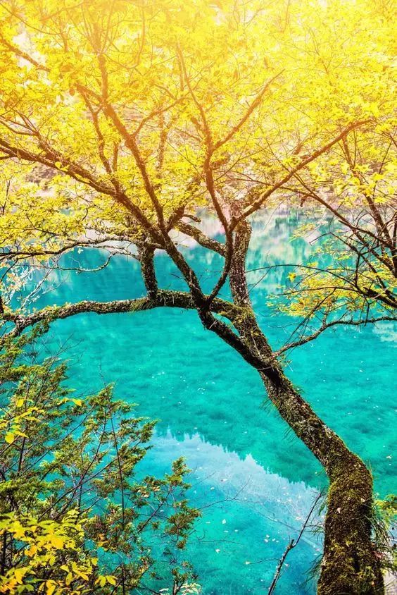 中国最美乡村Top10，有你家乡吗？