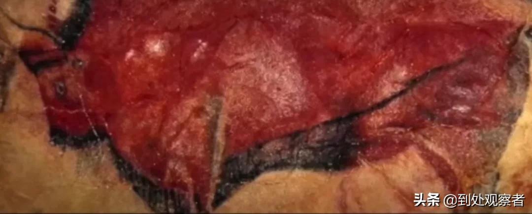 昴宿二外星人信息,昴宿二外星人信息汇总