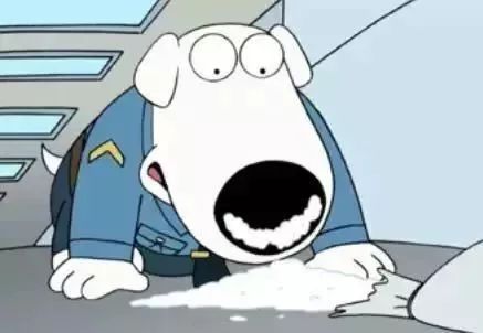 缉毒犬会染上毒瘾吗知乎文章,缉毒犬染上毒瘾怎么办