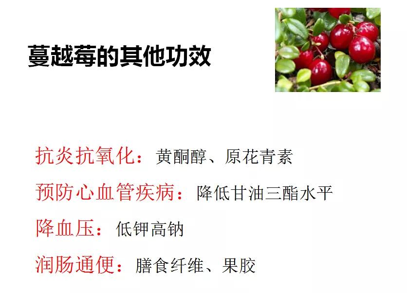 猫咪泌尿感染有哪些症状,矿砂对猫咪泌尿有影响吗