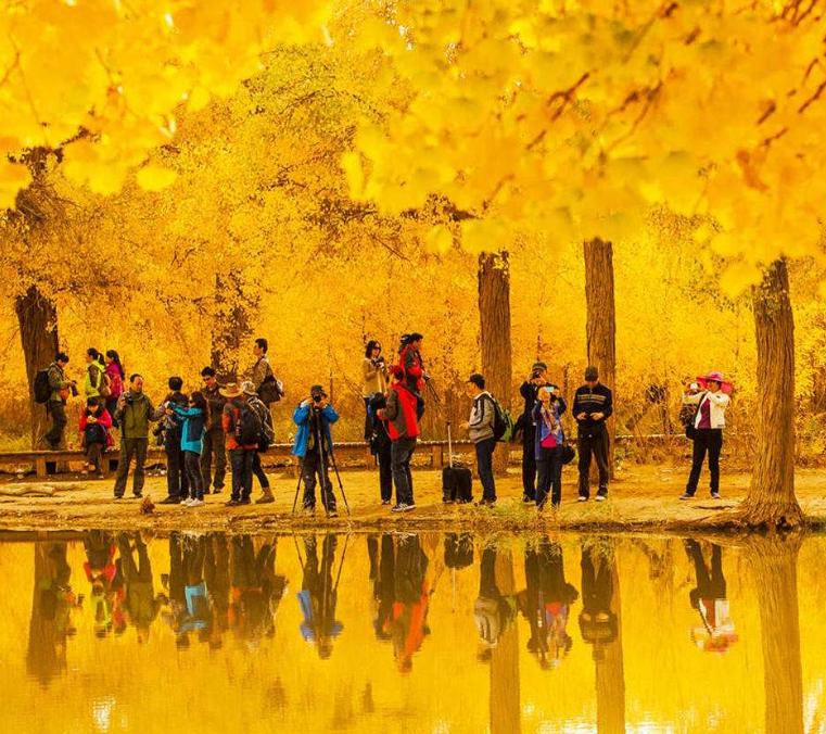 诗词赏析每日一首思念,诗词赏析每日一首秋