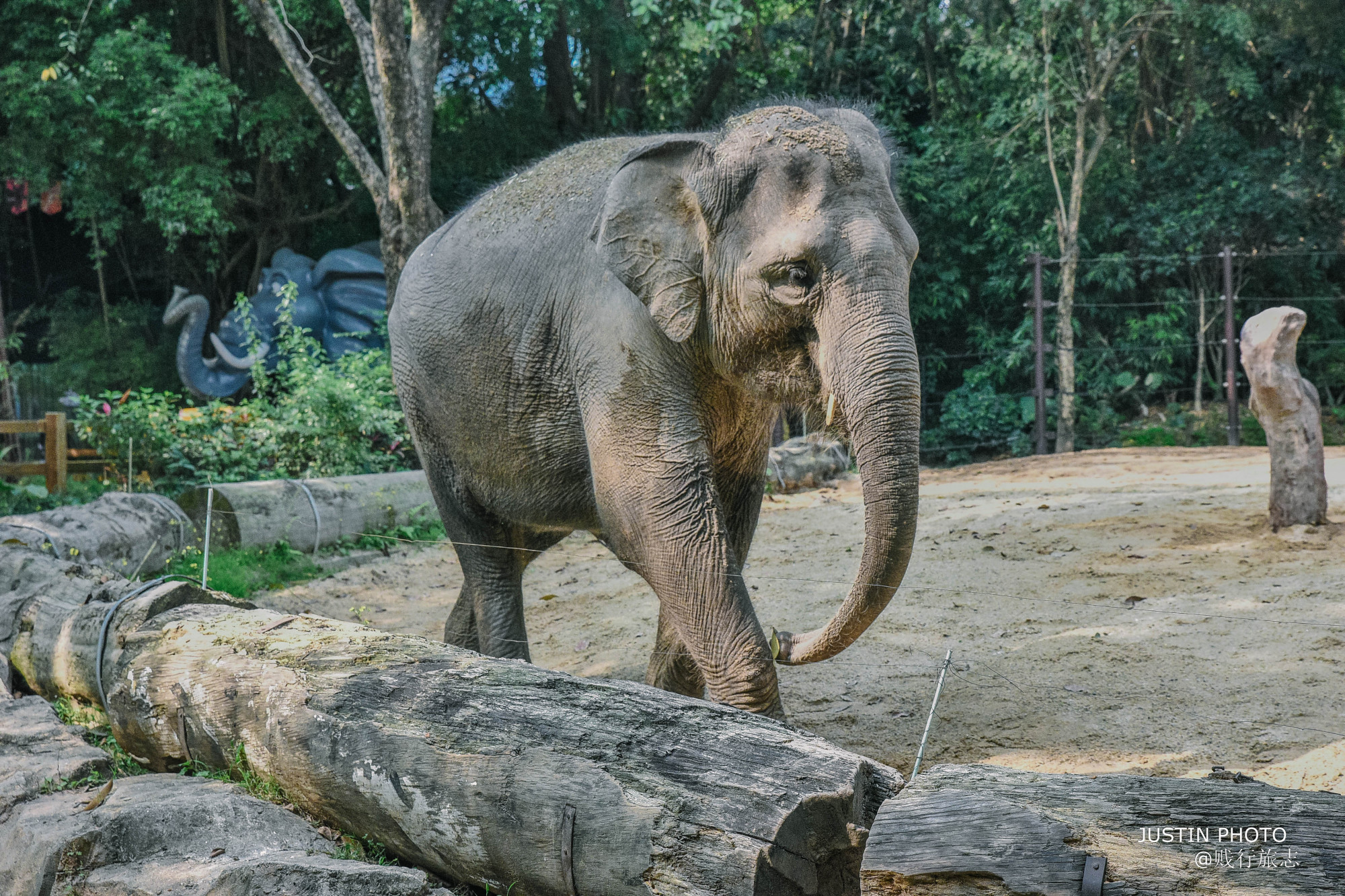 广东最大动物园在哪个市啊,广东最大动物园