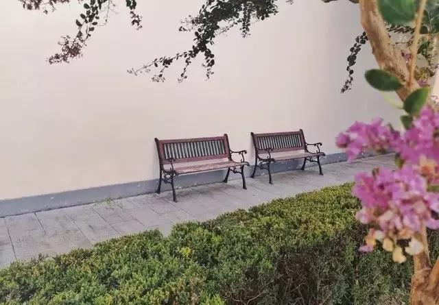 南京的春天,南京的春天视频