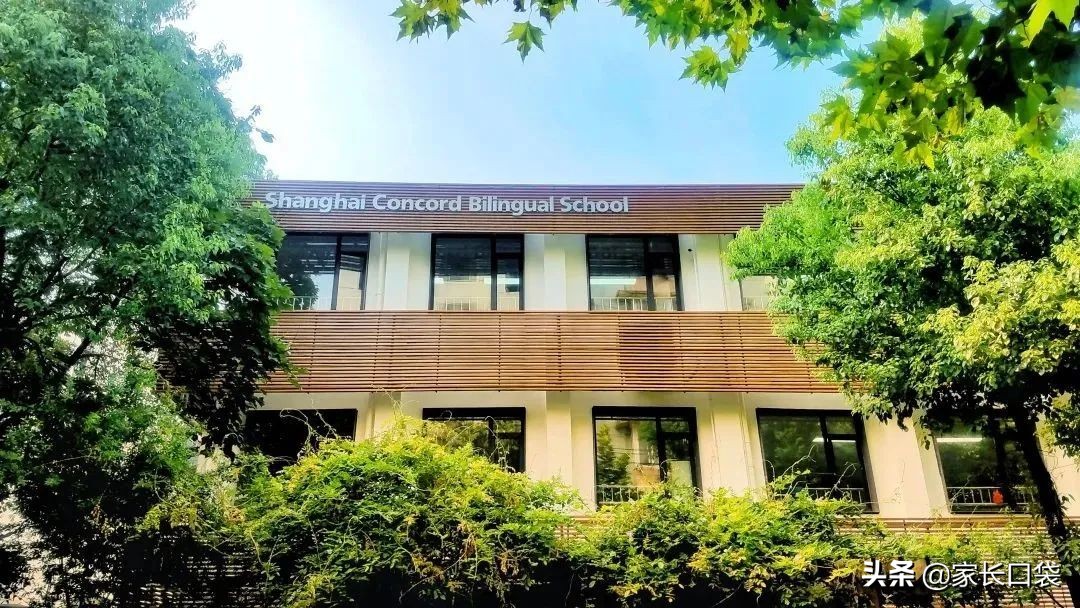 上海闵行区民办德闳学校学费,2021上海民办学费一览表