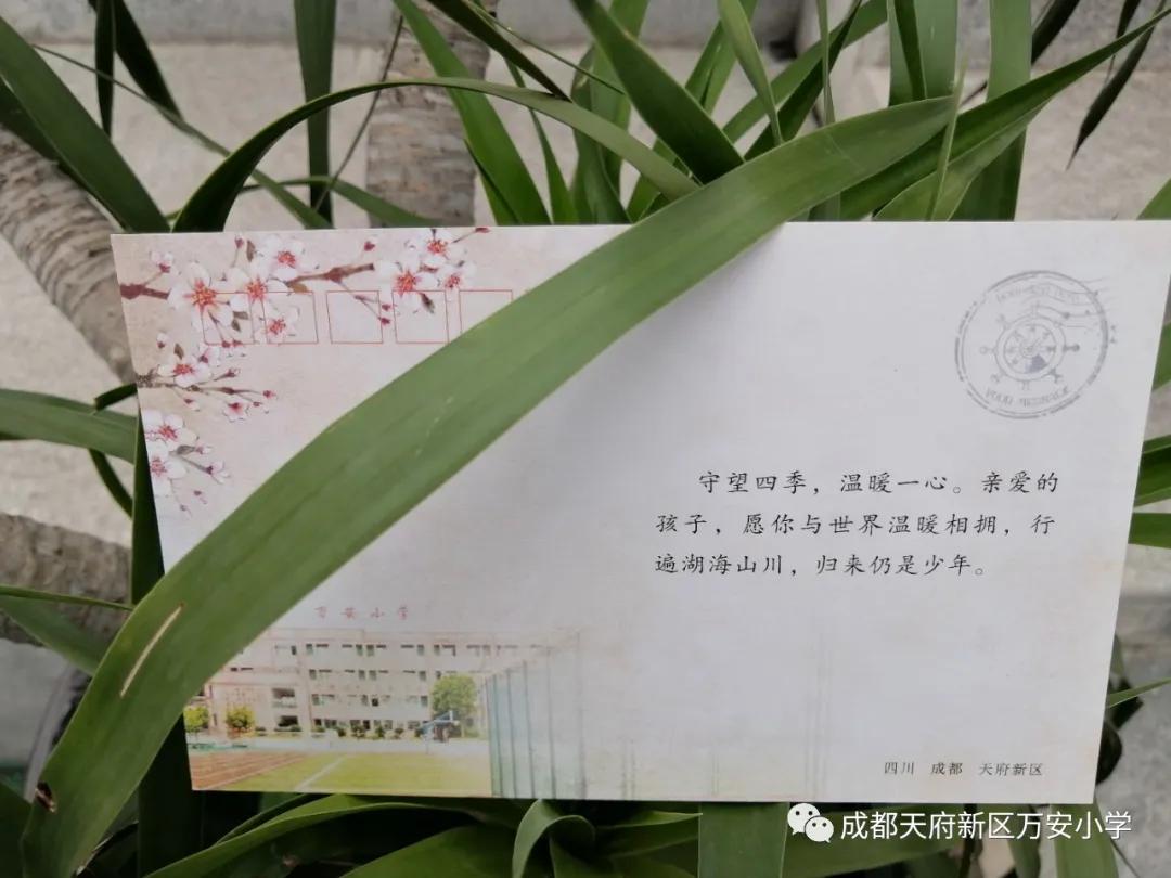 成都天府新区万安小学2015届,成都市天府新区万安小学获奖视频