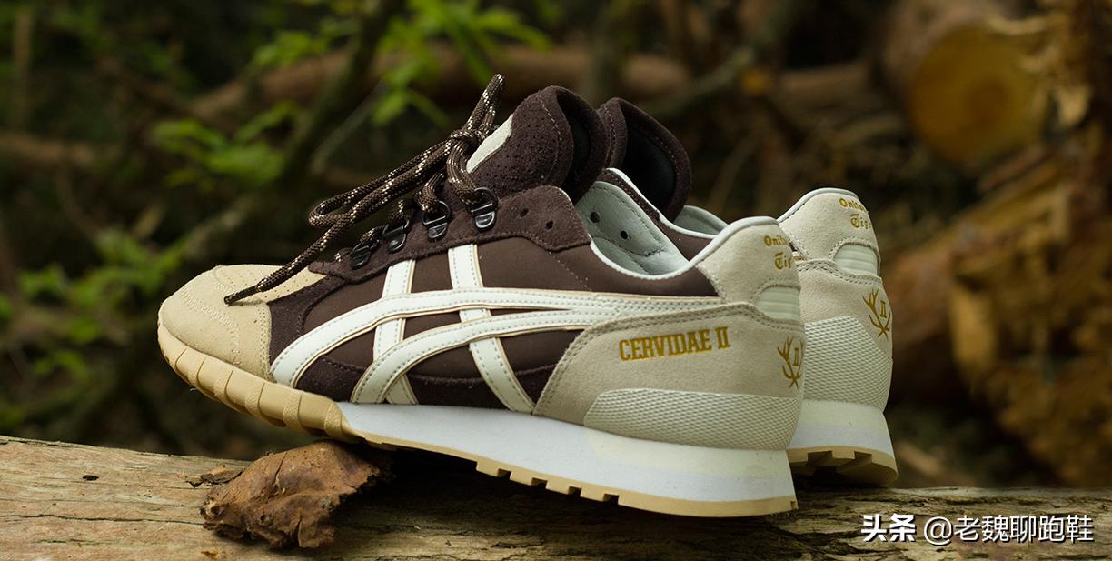 为什么这么多人穿鬼冢虎,鬼冢虎为啥这么火