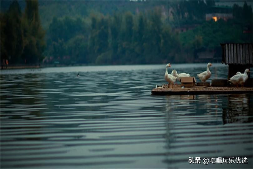 深圳观澜山水田园游乐设施,观澜山水田园旅游文化园相片