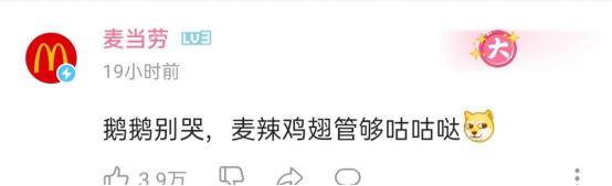 腾讯“企鹅”被骗1600万假辣椒酱，发视频哭惨，是真憨还是假憨？