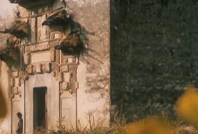 浅析《菊豆》的叙事结构：婶子和小侄子偷情背后的社会黑暗性质