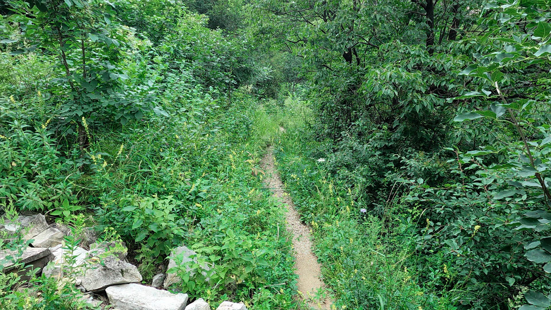 京郊十条登山步道推荐,房山蝴蝶谷登山步道