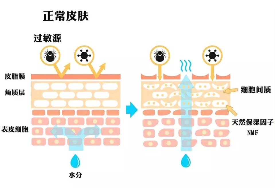 皮肤好是怎么做到的,皮肤好的第一步