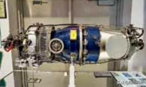 亚马逊巨嘴鸟,巨型巨嘴鸟