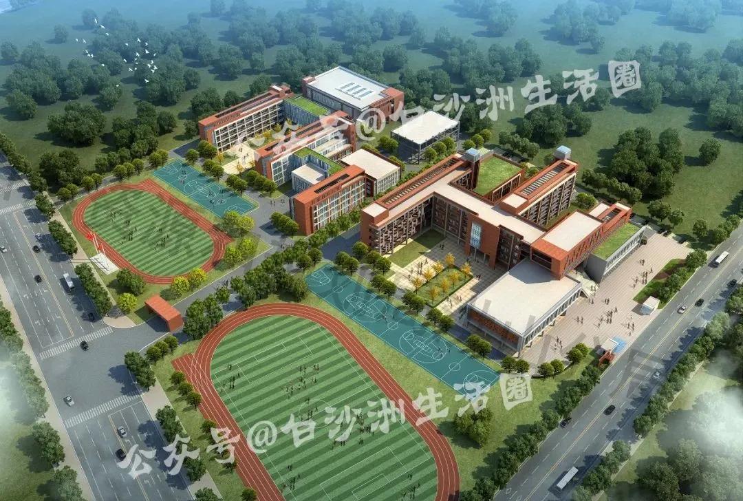 武汉白沙洲大道最新消息,武汉白沙洲最新消息