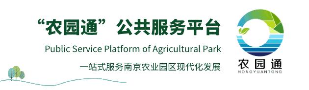 高淳发展规划2021-2025,高淳未来十年发展规划