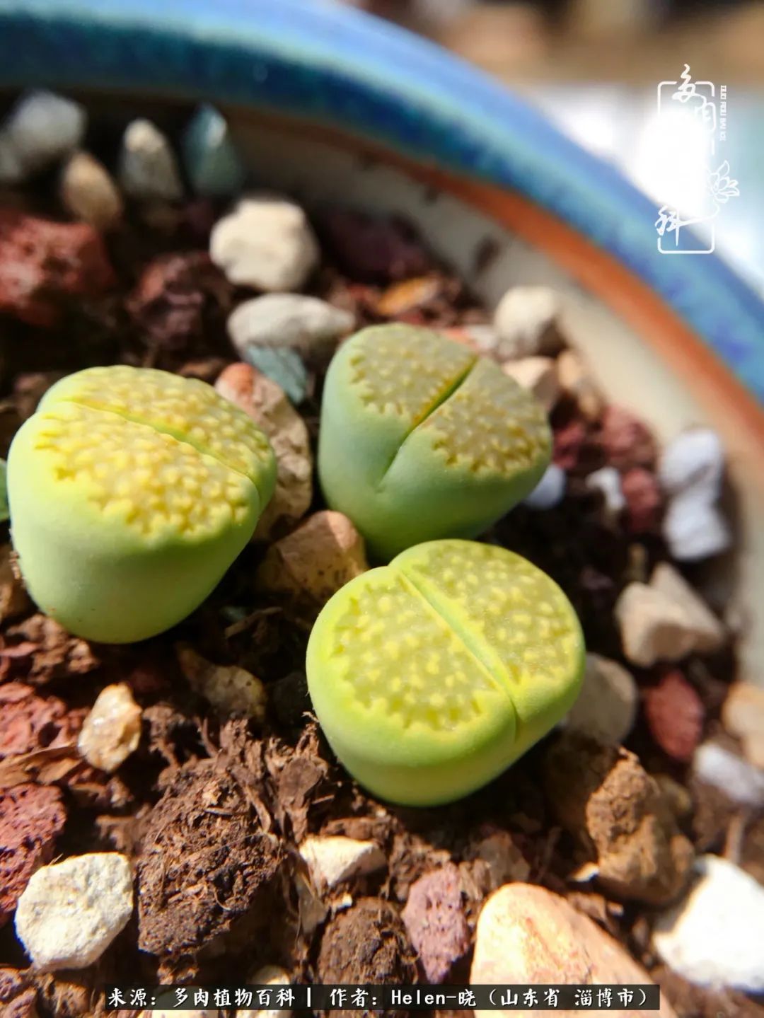 人到中年温暖如初,人到中年岁月静好