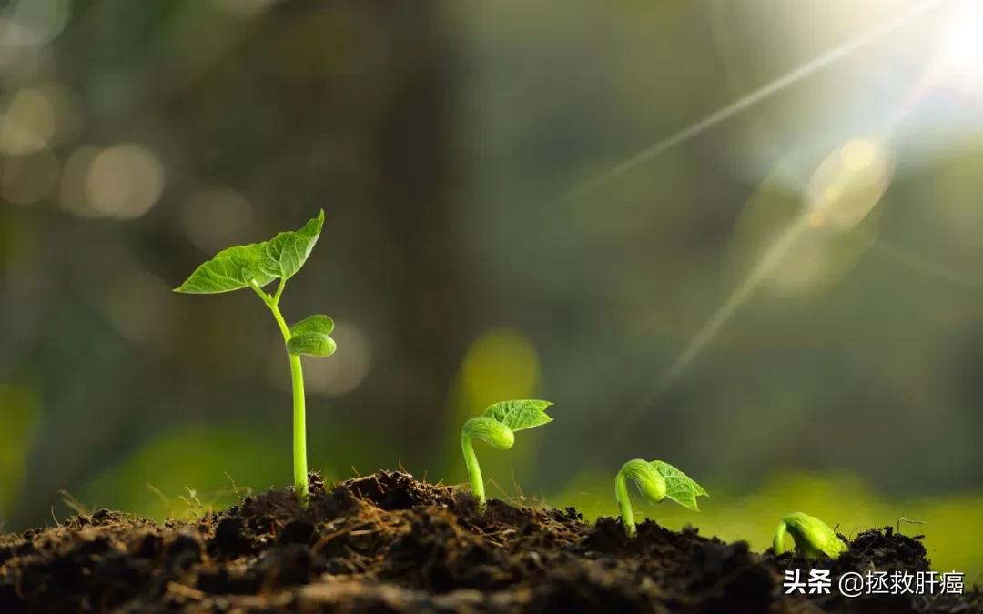 肝癌靶向药索拉非尼能报销吗,索拉非尼肝癌疗效