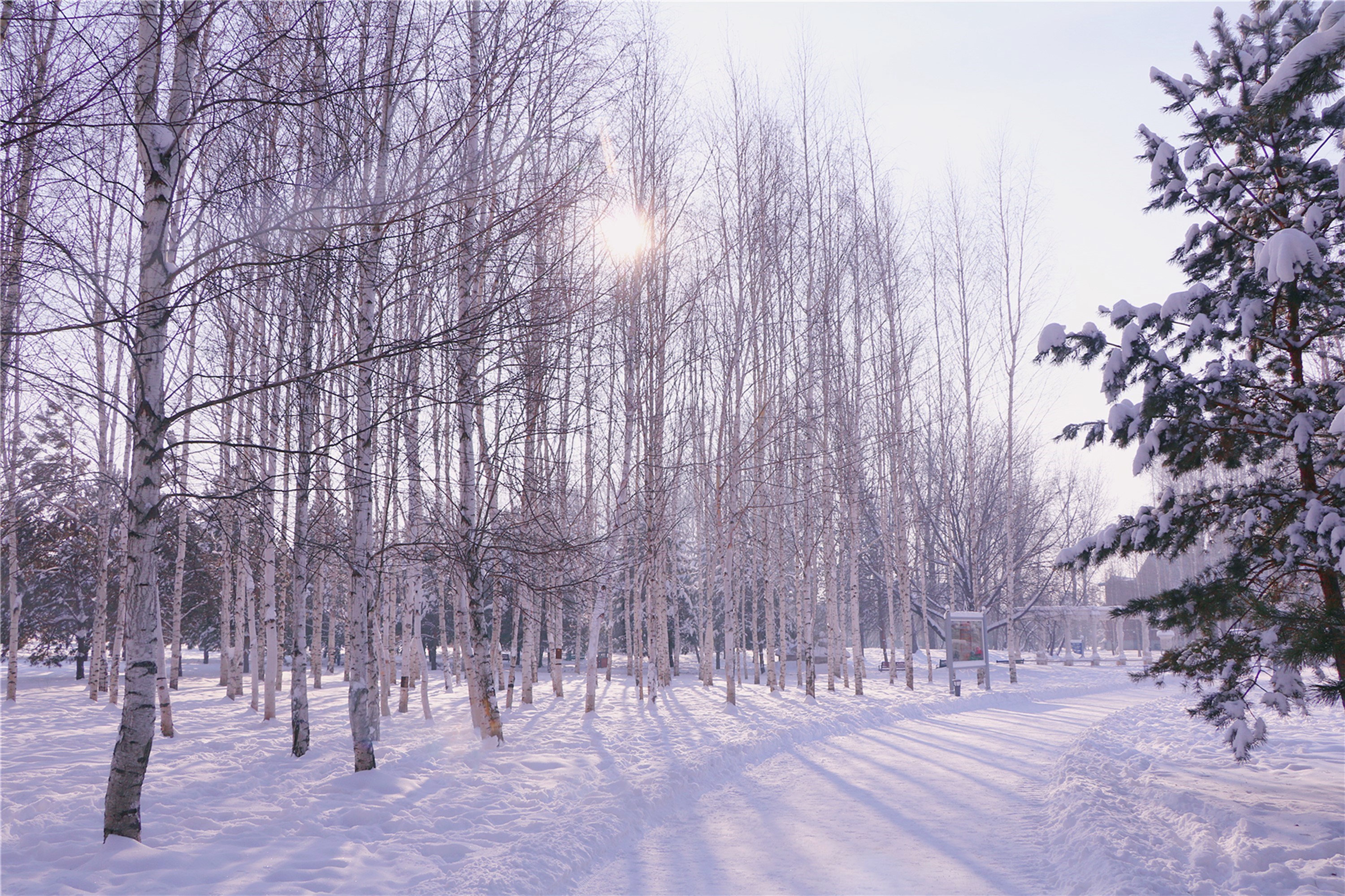 伏尔加庄园和俄罗斯风情小镇,伏尔加庄园浪漫的俄式冬季