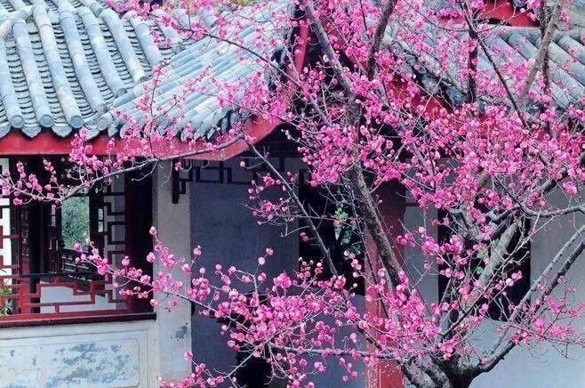 奇特有趣的问题,史上最稀奇的问题