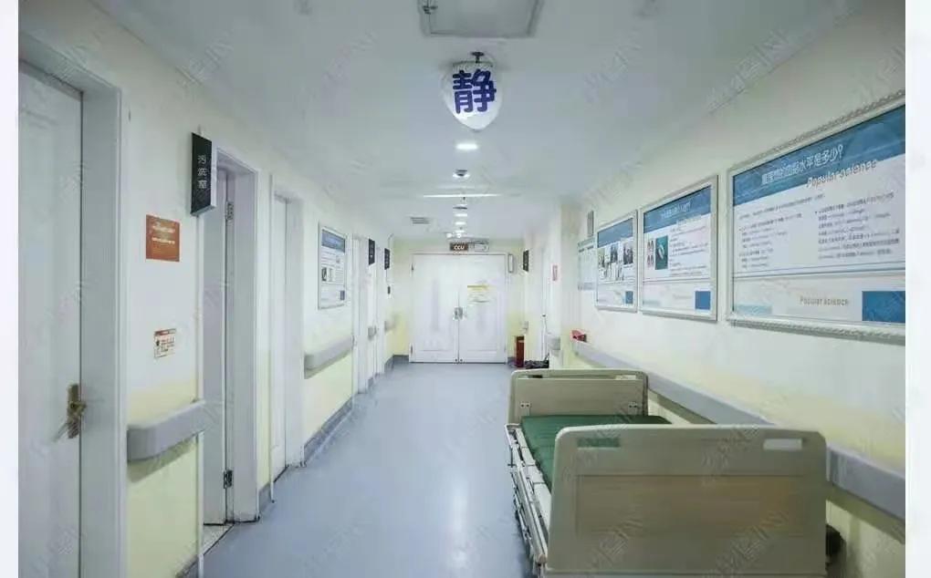 肖青林作品,肖青林最新视频