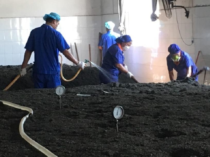 一克熟茶,普洱熟茶三年了能喝吗有毒吗