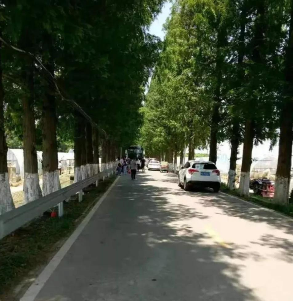 让脚丫干燥的办法,怎么保持脚丫干爽