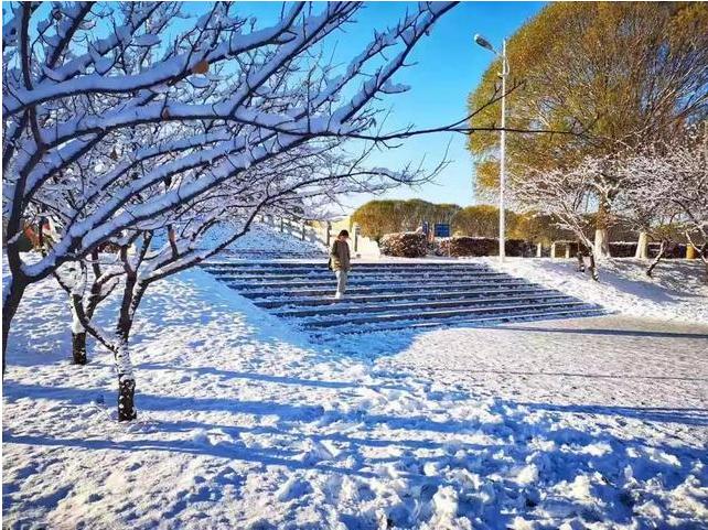中国东北一流大学,东北第一的大学
