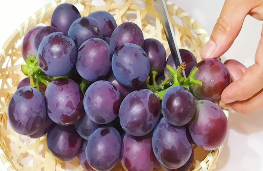 葡萄用什么洗会洗掉上面的虫卵,葡萄要怎样洗才能洗去农药