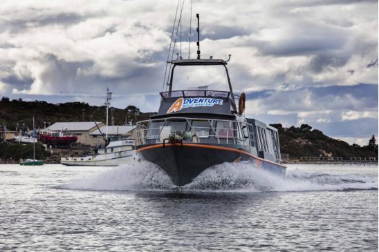 「求真」消费吓退国人的澳大利亚,竟然适合春节旅行?