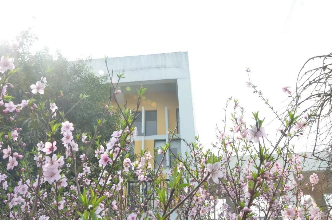 江苏省高校(五十一)南京航空航天大学金城学院