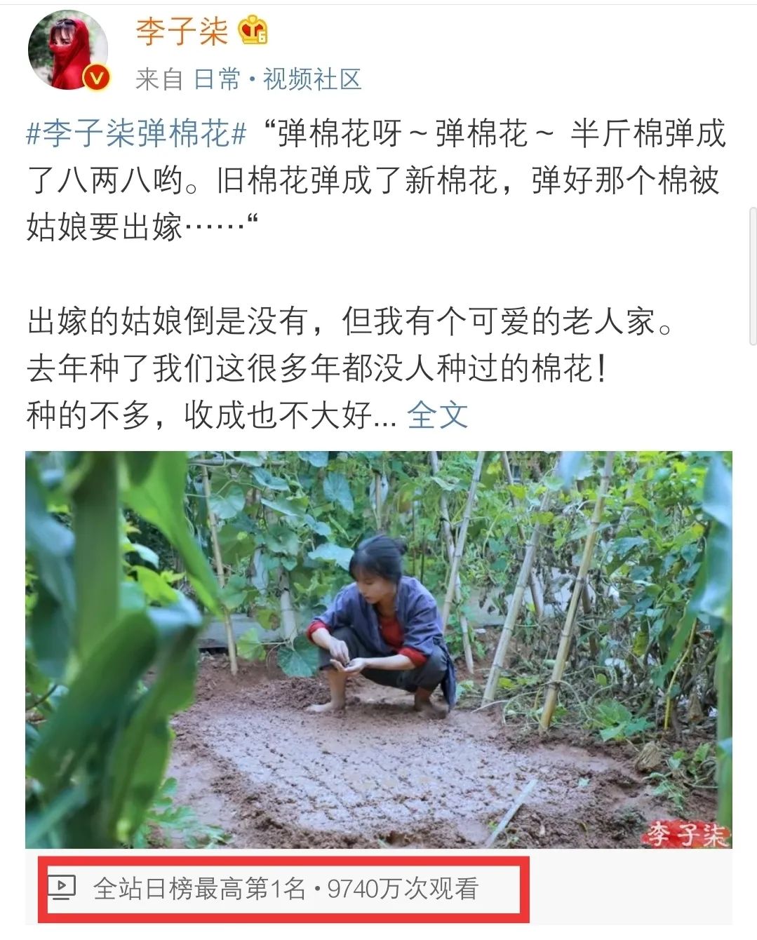 李子柒视频转场技巧,李子柒拍摄视频技巧