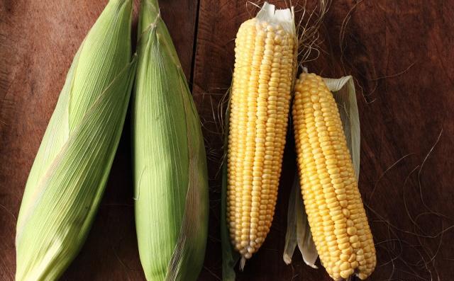 2000积温的玉米种子,玉米良种亩产2000斤