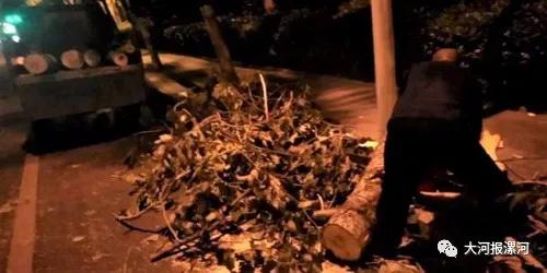 树倒墙塌人被困…漯河突发多起事故，交警城管紧急出动
