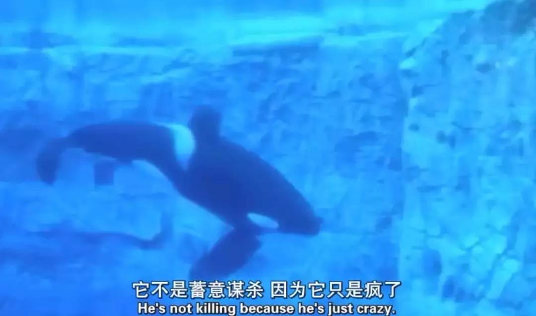 被囚34年取精，被迫亲手杀死爱子，最后只能挣扎着死去……