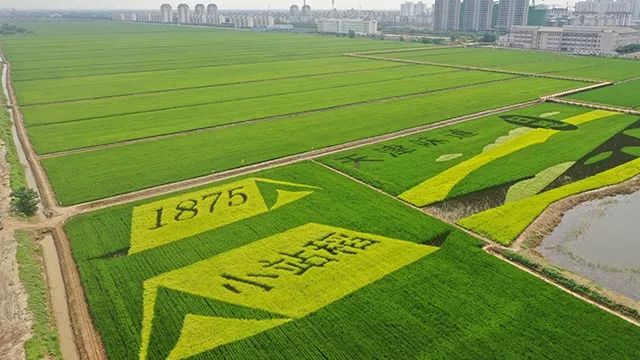 天津重点学校规划,津南区签约名校