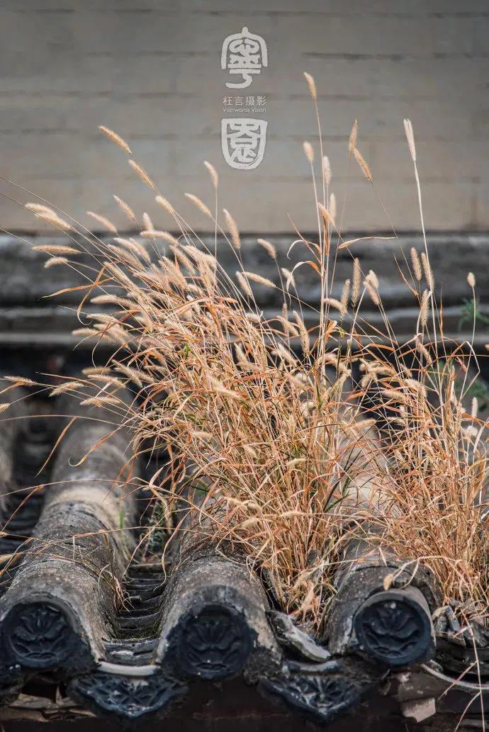天津十大自然风景区,天津九山顶自然风景区赏秋