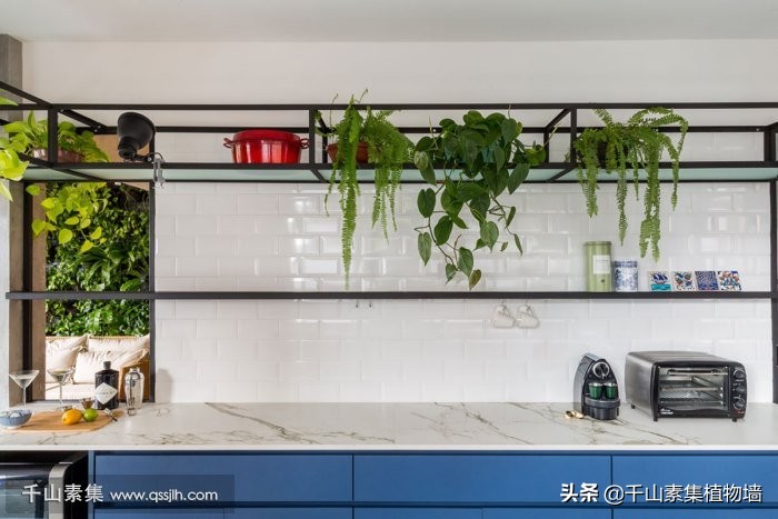 自然风格植物墙效果图,植物墙结合空间设计图