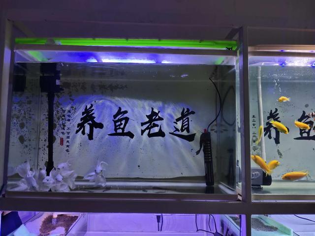 鱼缸加热用什么材质好,鱼缸加热管用多大合适