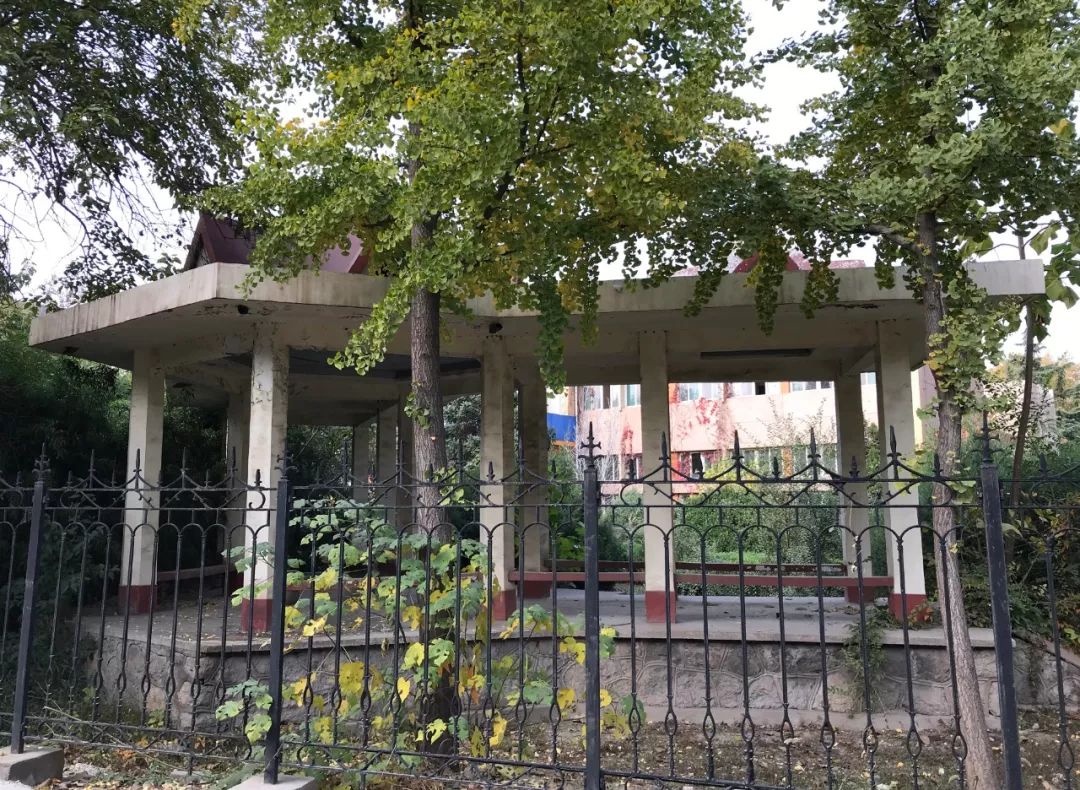 济钢最新新闻,济钢转型成什么了