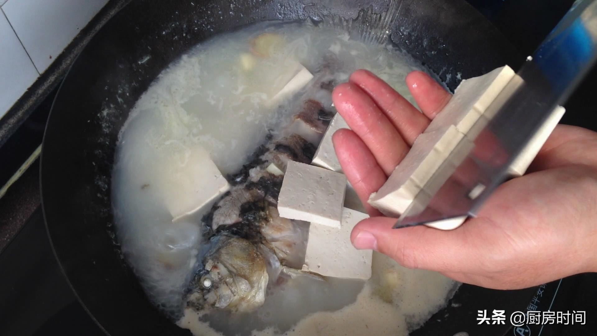 为什么你熬的鱼汤不白,为什么你做的鱼汤不浓教你一招