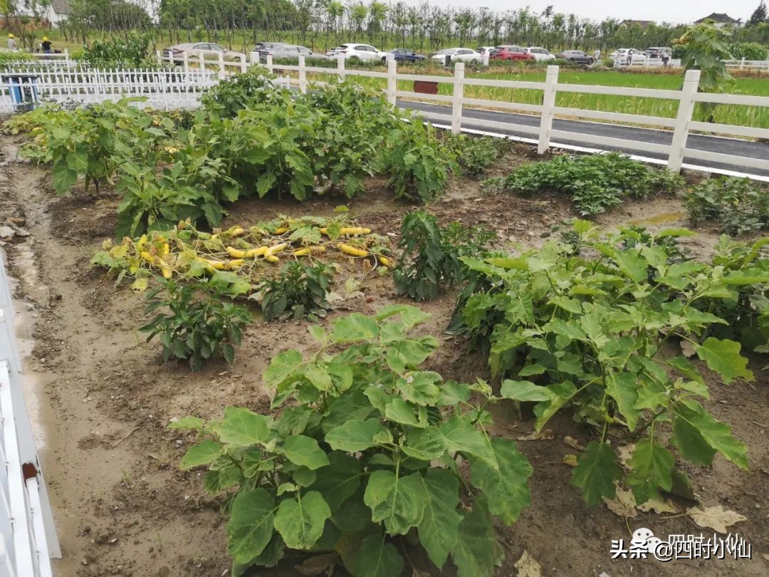 极简风网红民宿,8家网红民宿推荐