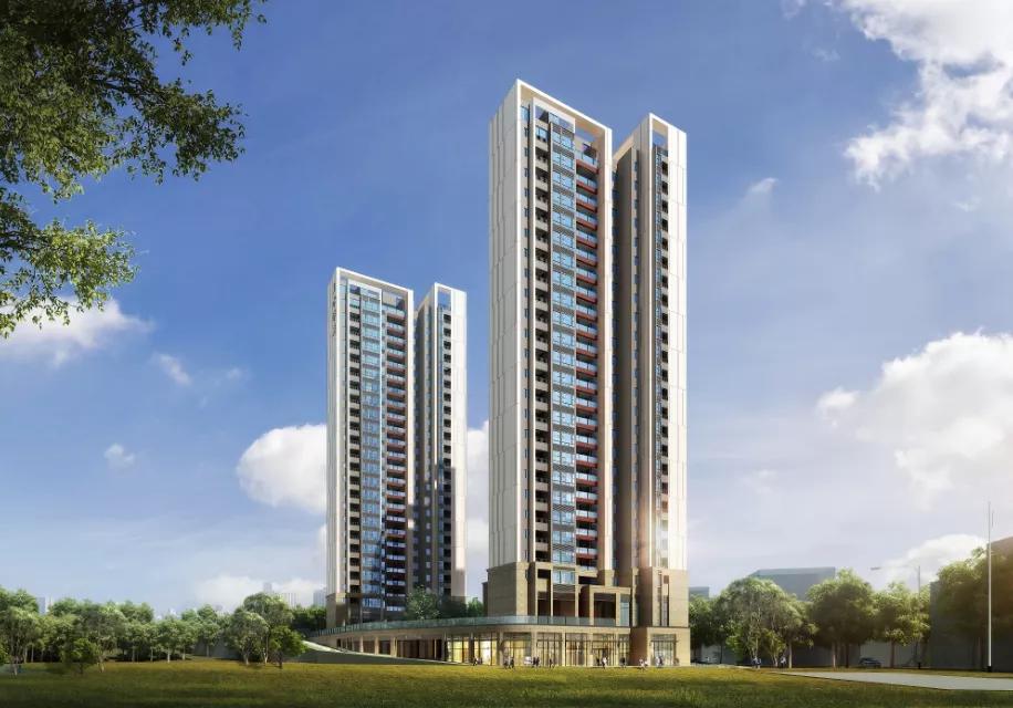 华为与龙华,霸气华为