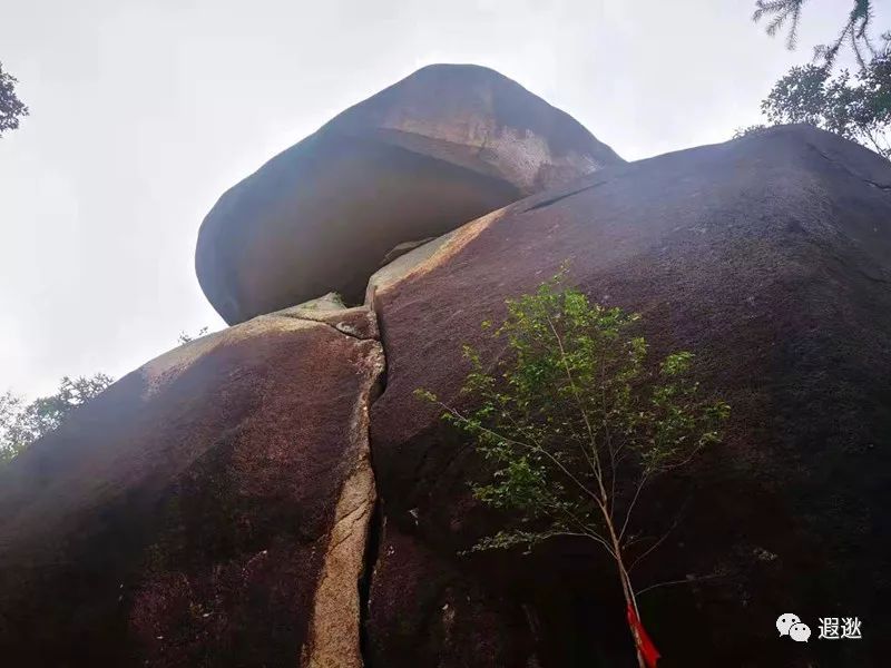 温州居然有这么美的小众景点,温州青龙山风景区在哪里