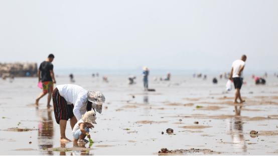 百年老城大美营口,海上视角看美丽的营口